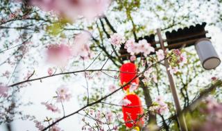 书籍做人不要太老实主要讲了什么 做人不要太老实